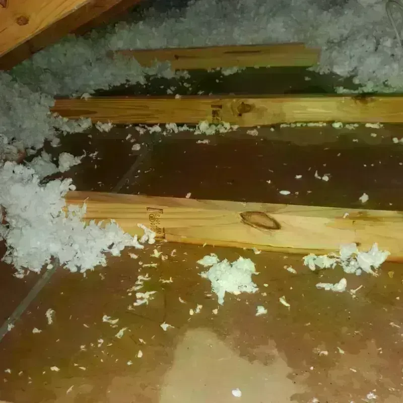 Attic Water Damage in Evansburg, PA